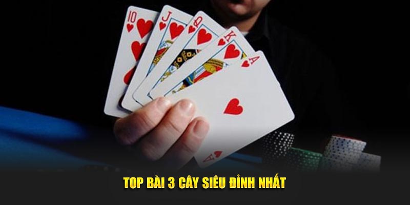 Top bài 3 cây siêu đỉnh nhất