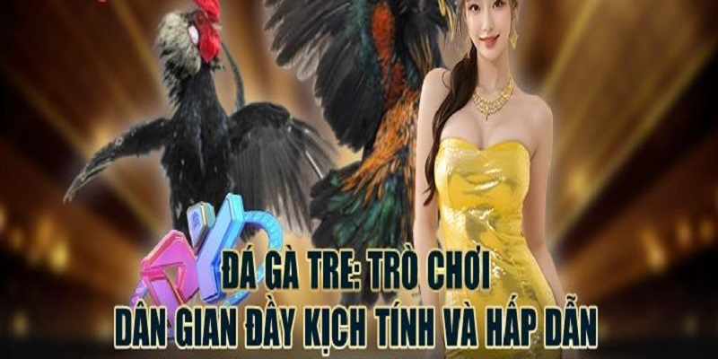 Đá Gà Tre 8KBET - Sân Chơi Chọi Kê Đẳng Cấp Không Thể Bỏ Lỡ