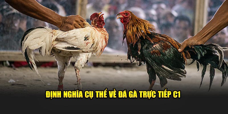 Định nghĩa cụ thể về đá gà trực tiếp C1