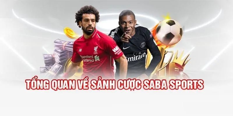 Saba Sports 8KBET - Không Gian Cá Độ Thể Thao Hấp Dẫn