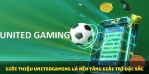 United Gaming 8KBET - Điểm Cá Độ Thể Thao Chất Lượng 2024