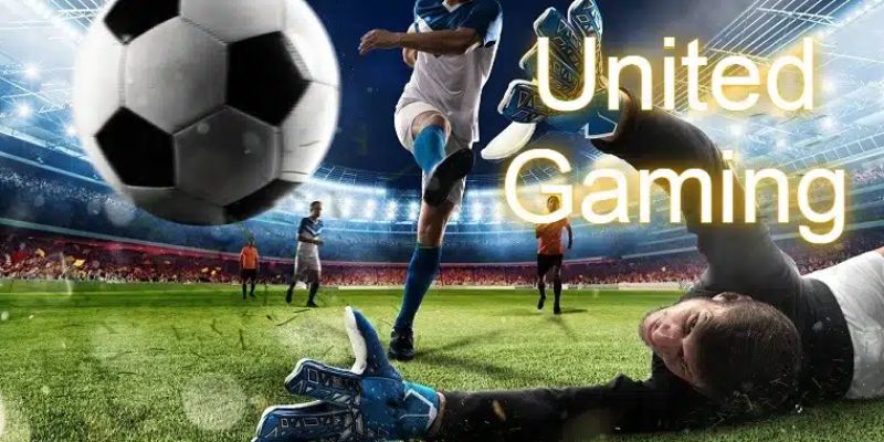 Sản phẩm cá độ thể thao nổi bật tại United Gaming 8KBET